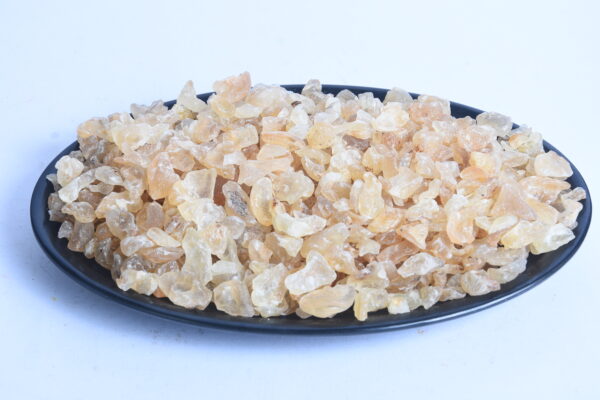 Badam Pishini