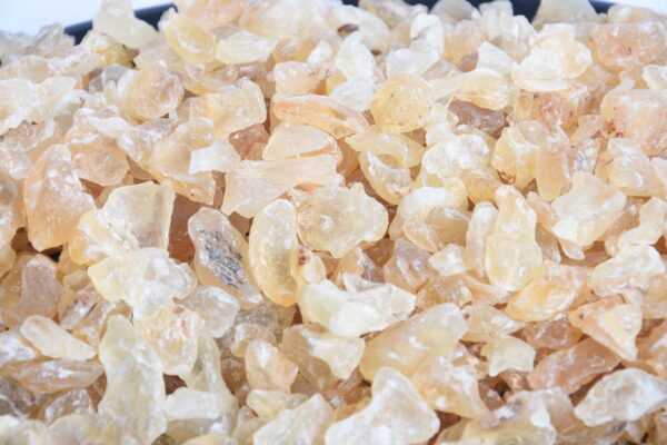Badam Pishini - Image 2