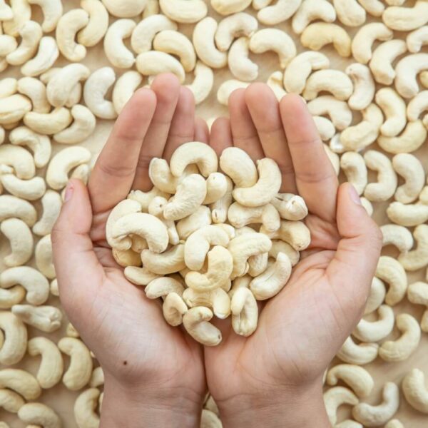 Cashew Nut Whole - Bold 1 kg - Image 2