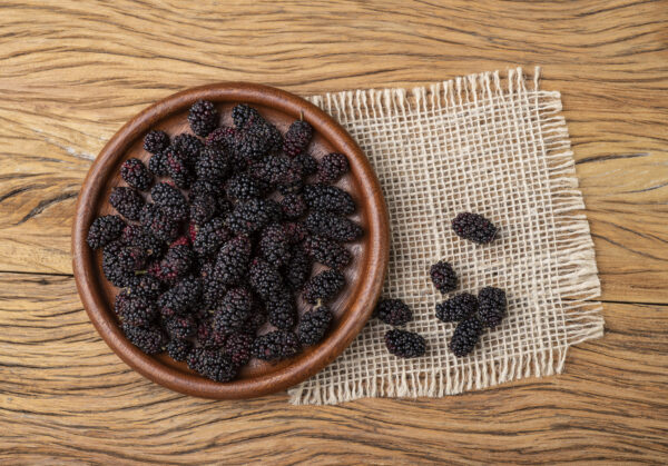Blueberry - Imported